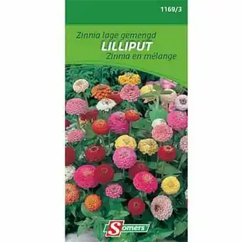 Brico Somers zaad pakket zinnia lage gemengd ’Lilliput’ aanbieding