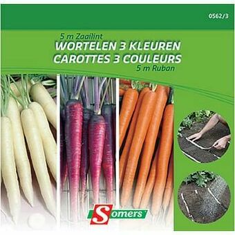 Brico Somers zaailint wortelen 3 kleuren 5 m aanbieding