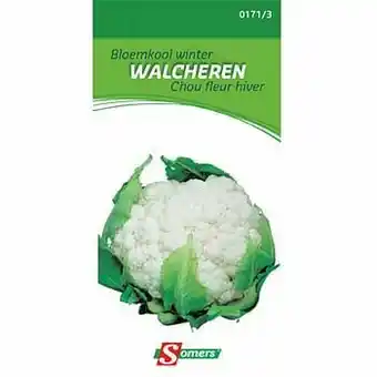Brico Somers zaad pakket bloemkool winter ’Walcheren’ aanbieding