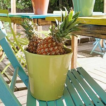 Brico Deroma terracotta pot ’Arty’ groen 26 cm x 23,7 cm aanbieding