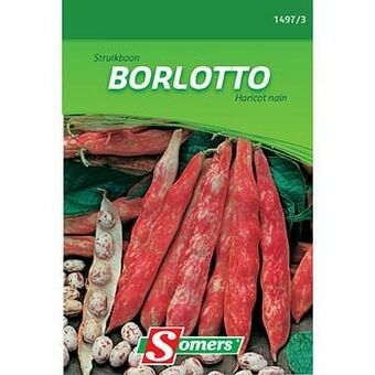 Brico Somers zaad pakket struikboon ’Borlotto’ aanbieding