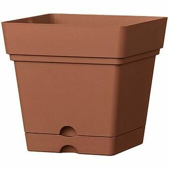 Brico Deroma pot ’Samba’ terracotta 18 x 18 cm aanbieding