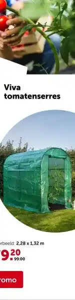 AVEVE Viva tomatenserres aanbieding