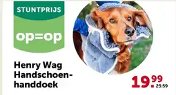 AVEVE Henry Wag Handschoen- handdoek aanbieding
