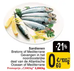 Cora Sardienen aanbieding