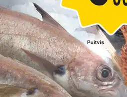 Cora Puitvis aanbieding