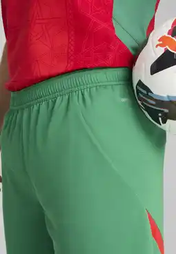 Decathlon Marokko 2025 short voor heren PUMA Archive Green Red aanbieding