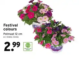 GAMMA Festival colours aanbieding