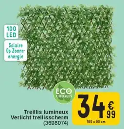 Cora Treillis lumineux Verlicht trellisscherm aanbieding
