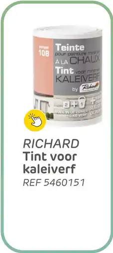 Brico Richard Tint Voor Kaleiverf aanbieding