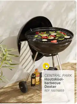 Brico Central Park Houtskool barbecue Dexter aanbieding