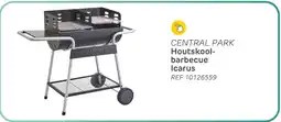 Brico Central Park Houtskool barbecue Icarus aanbieding