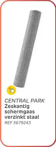 Brico Central Park Zeskantig schermgaas verzinkt staal aanbieding
