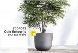 Brico Ecopots Oslo lichtgrijs aanbieding
