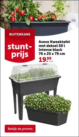AVEVE Aveve Kweektafel met deksel 50 l Intense black 76 x 25 x 79 cm aanbieding