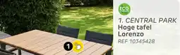 Brico Central park Hoge tafel Lorenzo aanbieding