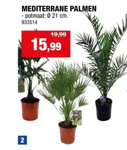 Hubo MEDITERRANE PALMEN aanbieding