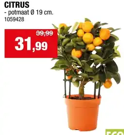 Hubo CITRUS aanbieding