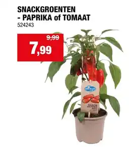 Hubo SNACKGROENTEN - PAPRIKA of TOMAAT aanbieding