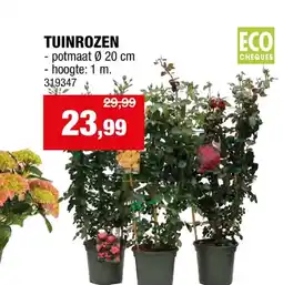 Hubo TUINROZEN aanbieding