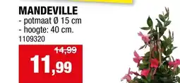 Hubo MANDEVILLE aanbieding