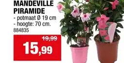 Hubo MANDEVILLE PIRAMIDE aanbieding