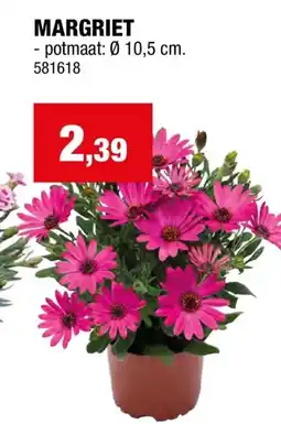 Hubo MARGRIET aanbieding