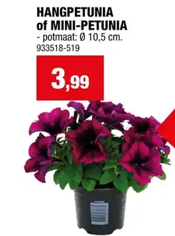 Hubo HANGPETUNIA of MINI-PETUNIA aanbieding