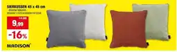 Hubo SIERKUSSEN 45 x 45 cm aanbieding