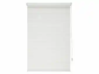 Lidl Livarno Home Rolgordijn Duo-Rollo voor ramen (100 x 150 cm) aanbieding