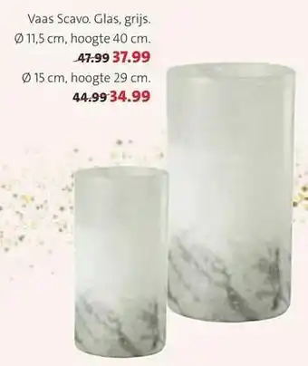 Intratuin Vaas scavo aanbieding