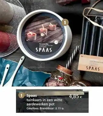 Spaas tuinkaars in een witte aardewerken pot