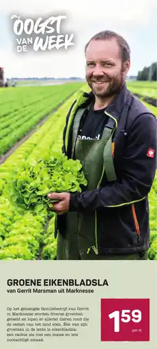 Ekoplaza Groene eikenbladsla aanbieding