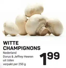 Ekoplaza Witte champignons aanbieding