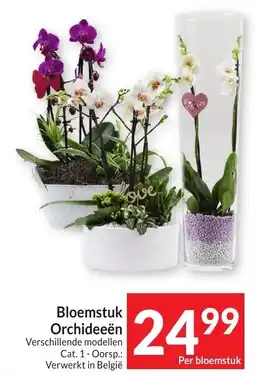 Intermarché Bloemstuk Orchideeën aanbieding