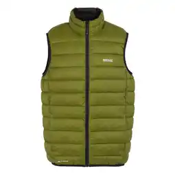 Decathlon Heren Marizion Gewatteerd Gilet (Nefrietgroen) aanbieding