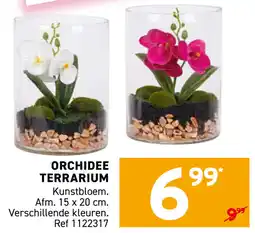 Trafic Orchidee terrarium aanbieding