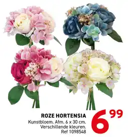 Trafic Roze hortensia aanbieding