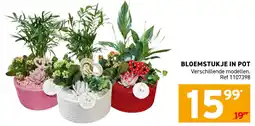Trafic Bloemstukje in pot aanbieding