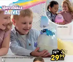 ToyChamp Hatchimals Alive Secret Hatch Draggle aanbieding
