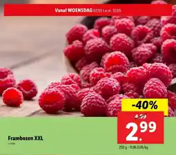 Lidl Frambozen XXL aanbieding