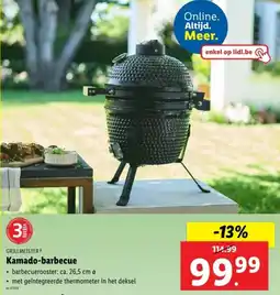Grillmeister Kamado barbecue