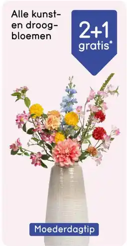 Leen Bakker Kunst en droog bloemen aanbieding