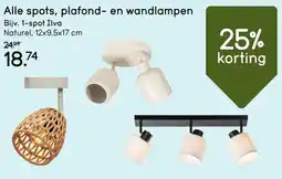 Spots, plafond en wandlampen