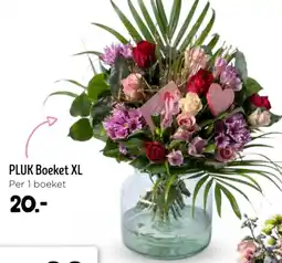 Jumbo Pluk Boeket XL aanbieding