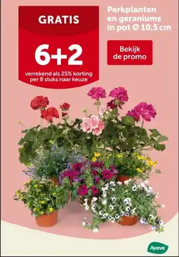 AVEVE Perkplanten en geraniums in pot Ø 10,5 cm aanbieding