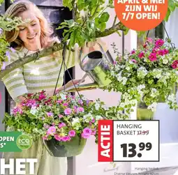 Intratuin Hanging basket aanbieding