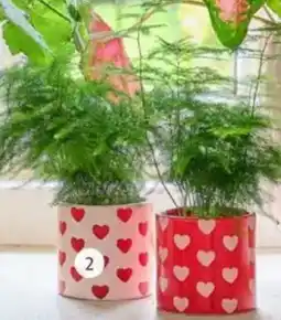 Intratuin Pot hartjes. Aardewerk, lichtroze of rood, aanbieding