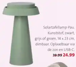 Intratuin Solartafellamp Pau aanbieding
