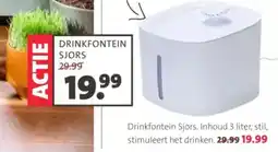 Intratuin Drinkfontein Sjors aanbieding